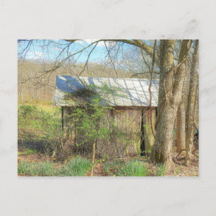 Postal Coop de pollo antiguo