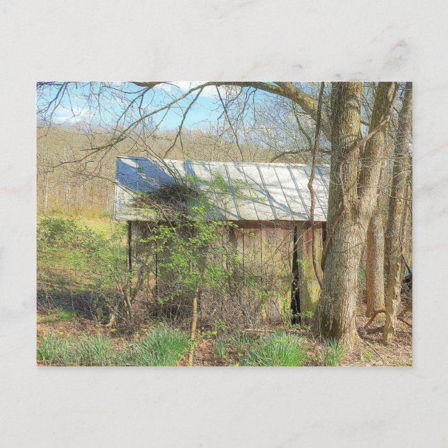 Postal Coop de pollo antiguo (Anverso)