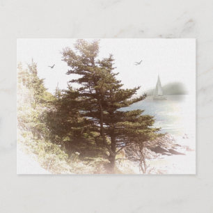 Postal Coos Bay Oregon