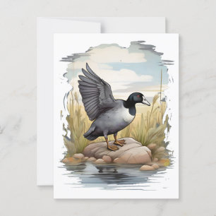 Postal Coot estadounidense en humedales