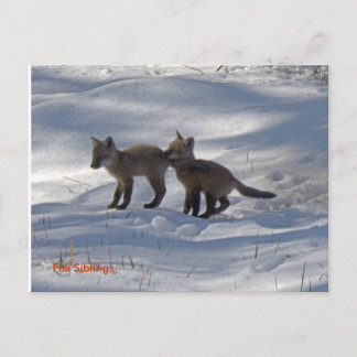 Postal copia de bebés, hermanos Fox