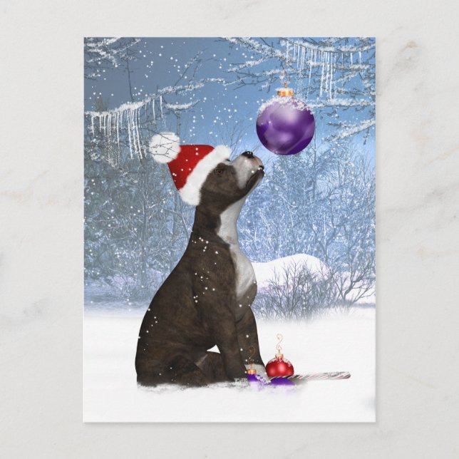 Postal Copía de Staffordshire Bull Terrier - Invierno de  (Anverso)