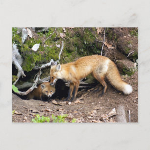 Postal Copia DSC08270