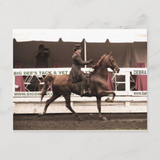 Postal Copia IMG_0065