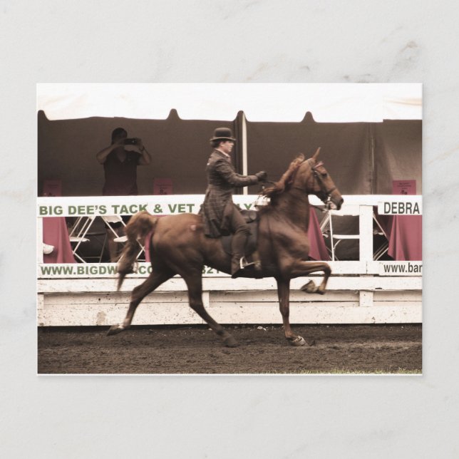 Postal Copia IMG_0065 (Anverso)