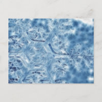 Copo de nieve Fractal de hielo congelado