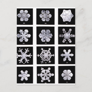 Postal Copos de nieve