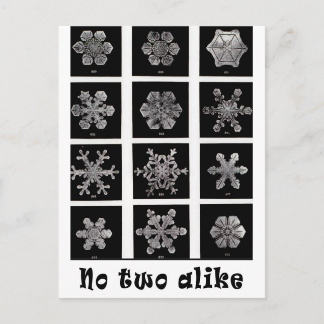 Postal Copos de nieve de Wilson Bentley, 1902 (Anverso)