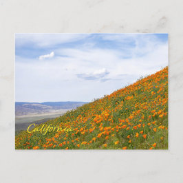 Postal Copos dorados de California