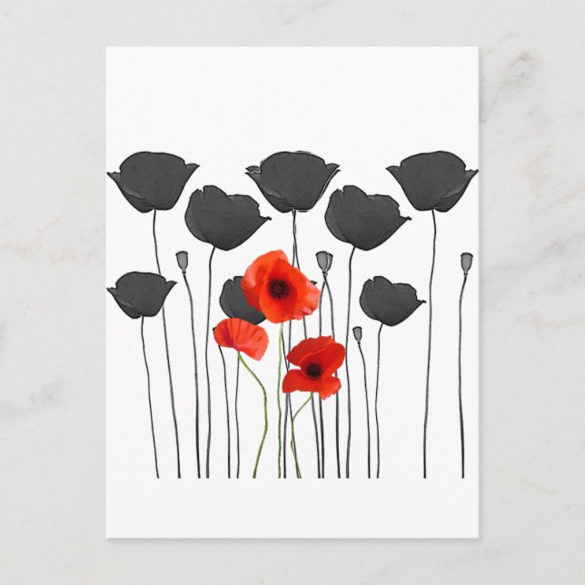 Postal coquelicot (Anverso)
