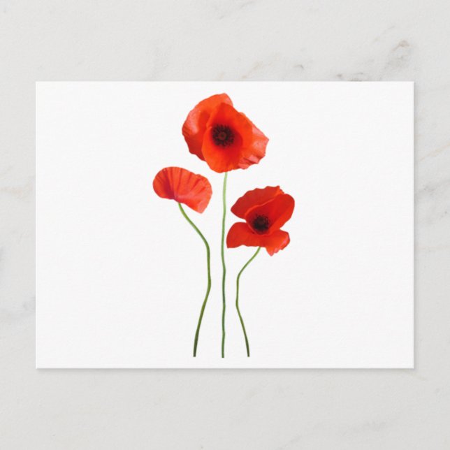 Postal coquelicot-amapola (Anverso)