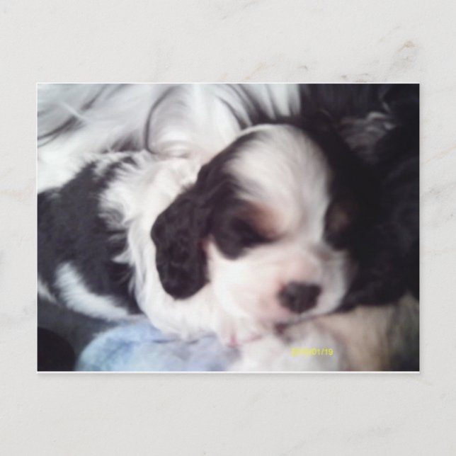 Postal Coquetería de coquetería de tres colores (Anverso)