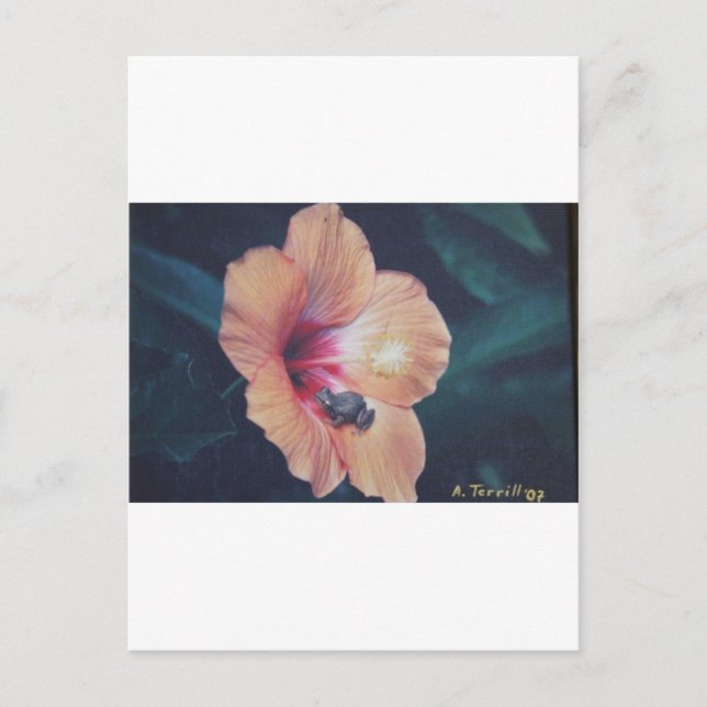 POSTAL COQUI (Anverso)