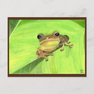 Postal Coqui de Puerto Rico Postcard