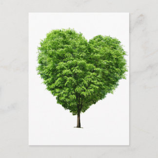 Postal coração ecologico