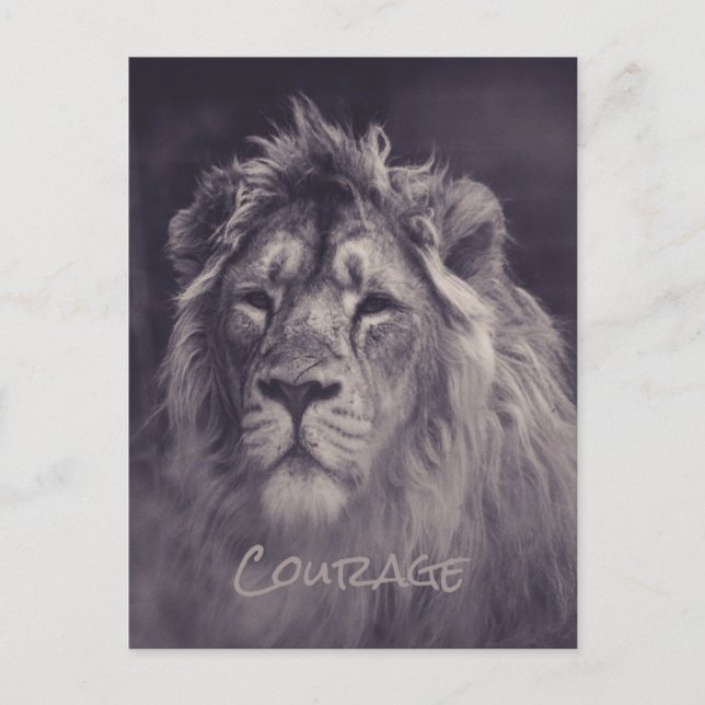 Postal Coraje de León Rey de la Selva (Anverso)