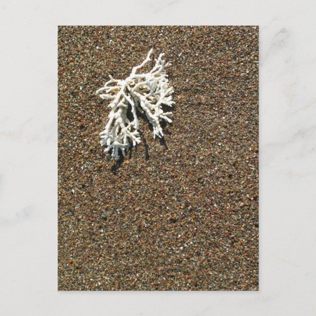 Postal Coral (Anverso)