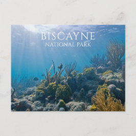 Postal Coral, Plantas, Pescado, Parque Nacional Biscayne,