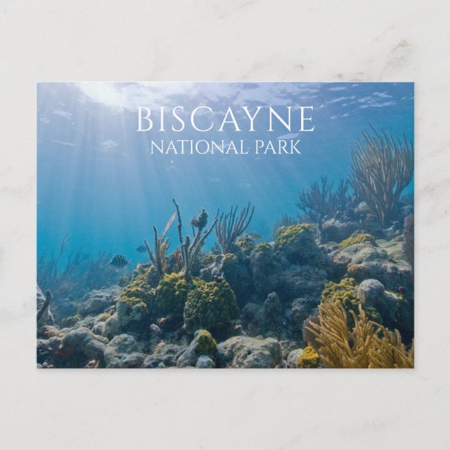 Postal Coral, Plantas, Pescado, Parque Nacional Biscayne, (Anverso)