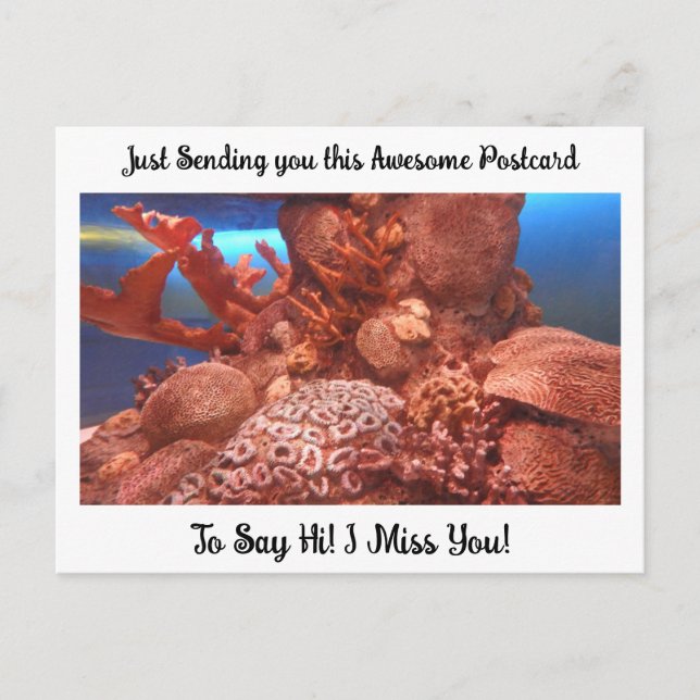 Postal Coral y raya "Te extraño" diciendo hola   (Anverso)