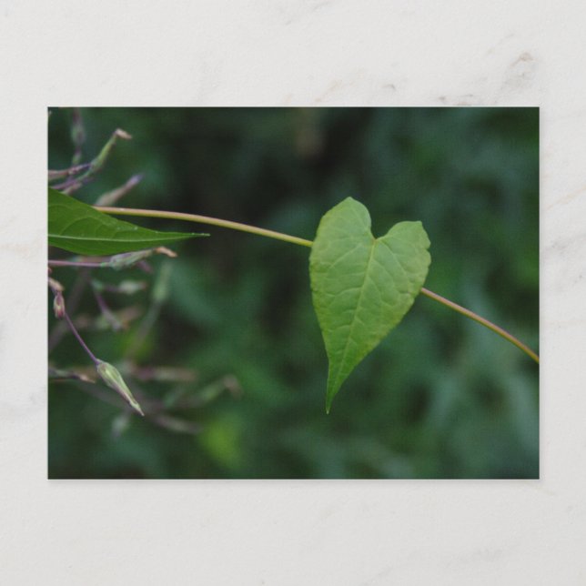 Postal corazón (Anverso)