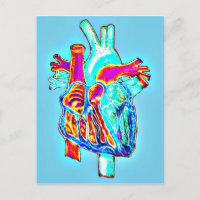 Corazón anatómico dibujado a mano de neón