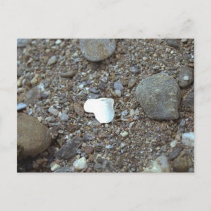 Postal Corazón de conchas de bodas de playa