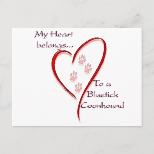 Postal Corazón de Coonhound Bluetick Pertenece (Anverso)