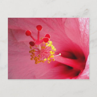 Postal corazón de hibiscus