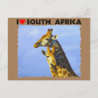 Corazón de las jirafas del cielo azul de Sudáfrica