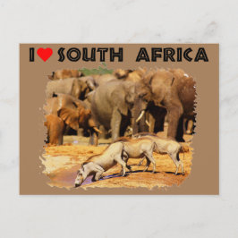 Postal Corazón de los warthogs y elefantes de Sudáfrica