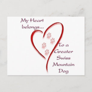 Postal Corazón de Perro de Montaña Suiza Grande Pertenece