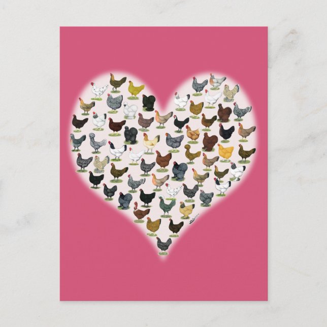 Postal Corazón de pollo (Anverso)