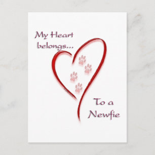 Postal Corazón de Terranova Pertenece