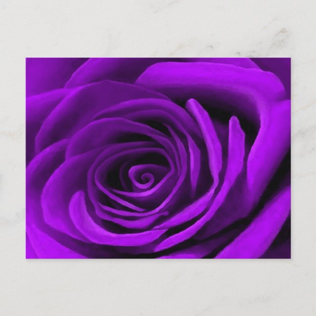 Postal Corazón De Un Rosa Morado (Anverso)