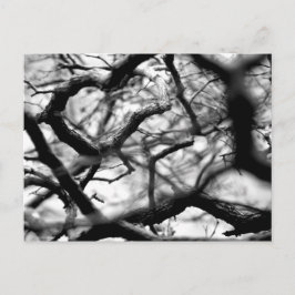 Postal Corazón en las ramas