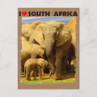 Corazón madre y ternera elefante sudafricana