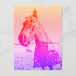 Postal Corazón Rojo y Caballo Valinetine o amor
