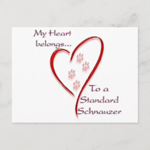 Postal Corazón Schnauzer estándar pertenece a