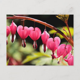 Postal Corazones delgados esperando