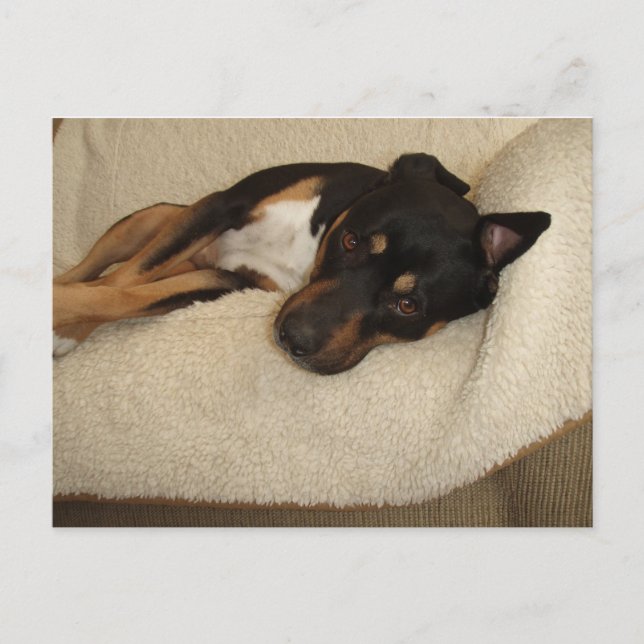 Postal Corby (Anverso)