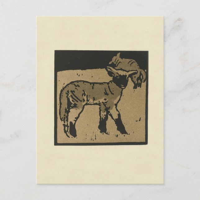 Postal Cordero - Ilustracion cuadrado de animales (Anverso)