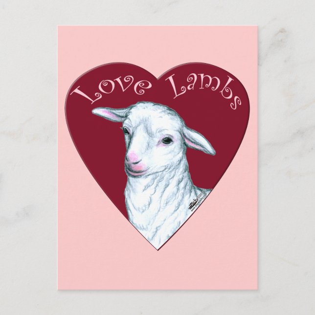 Postal Corderos de Amor (Anverso)