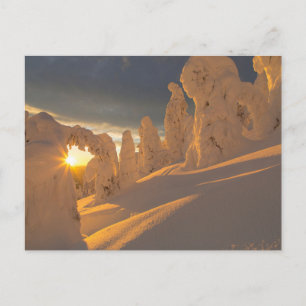 Postal Cordillera   Pescado blanco, Montana