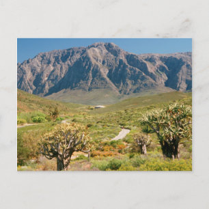 Postal Cordillera, Reserva Natural de Worcester