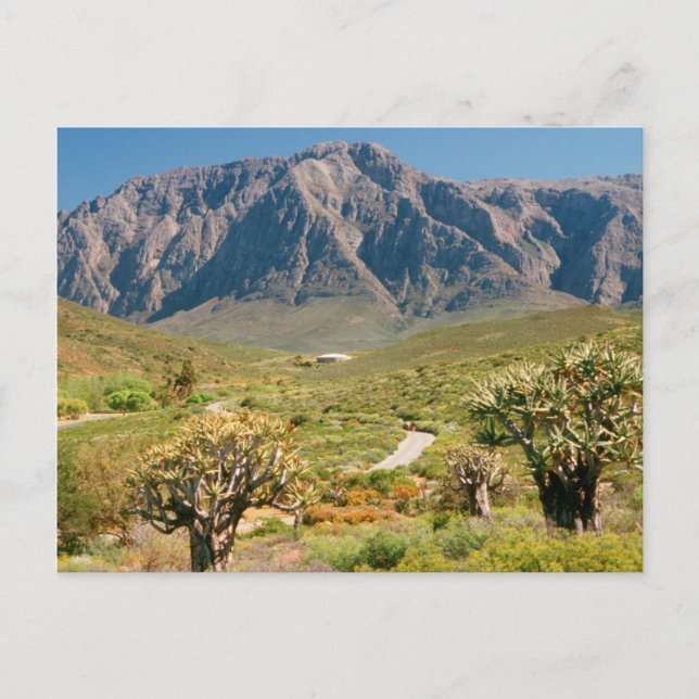 Postal Cordillera, Reserva Natural de Worcester (Anverso)
