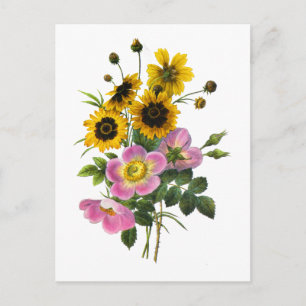 Postal Coreopsis y Hips Redoute Bouquet