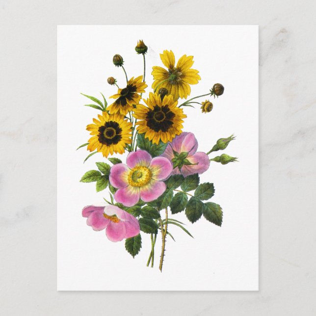 Postal Coreopsis y Hips Redoute Bouquet (Anverso)