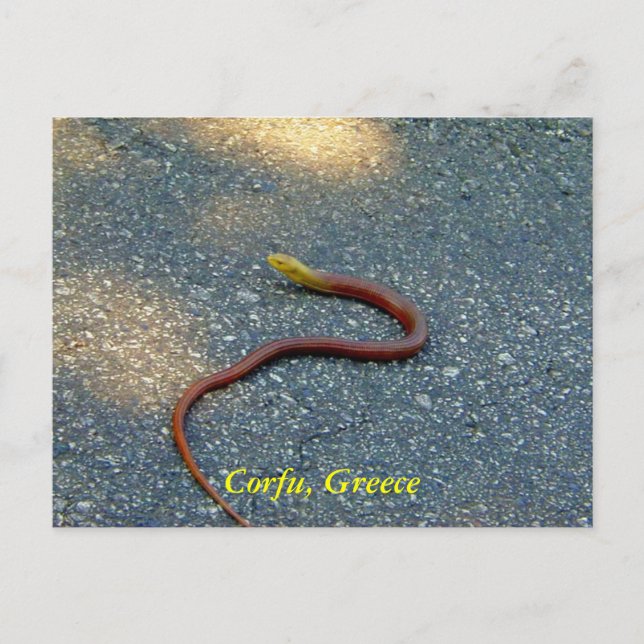 Postal Corfú, Grecia (Anverso)