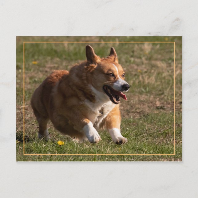 Postal Corgi en ejecución (Anverso)
